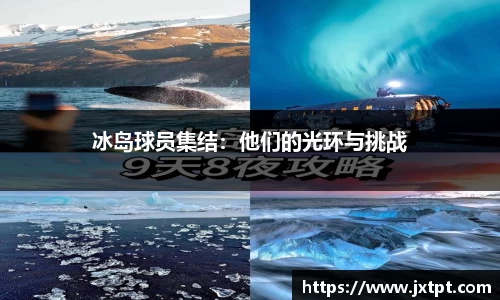 奇异果体育登录入口