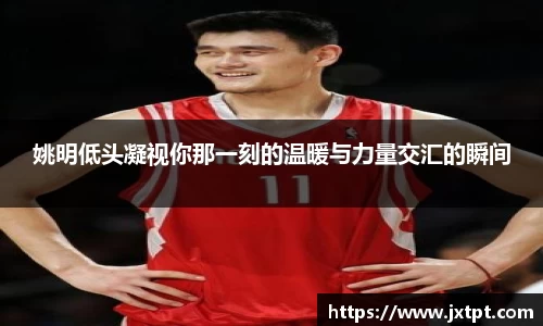 奇异果体育官网入口