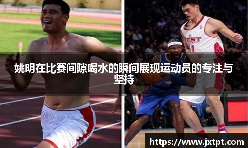 奇异果体育登录入口