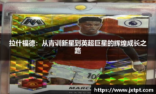 奇异果体育登录入口